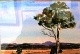 25 - Barbara Hilton - North Tasmania - Watercolour (2).JPG